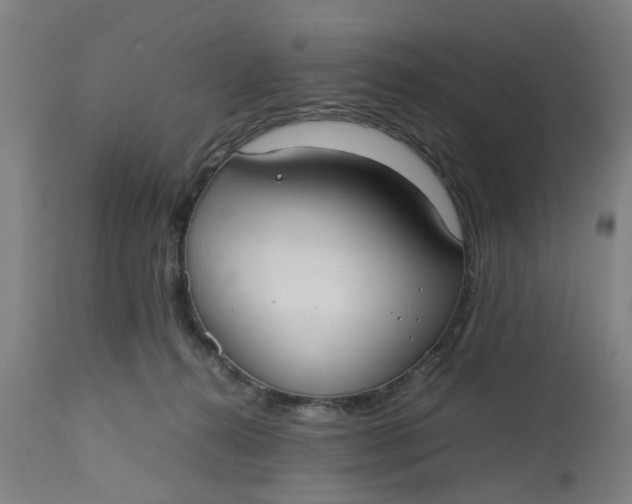 X0000112470272200909071140