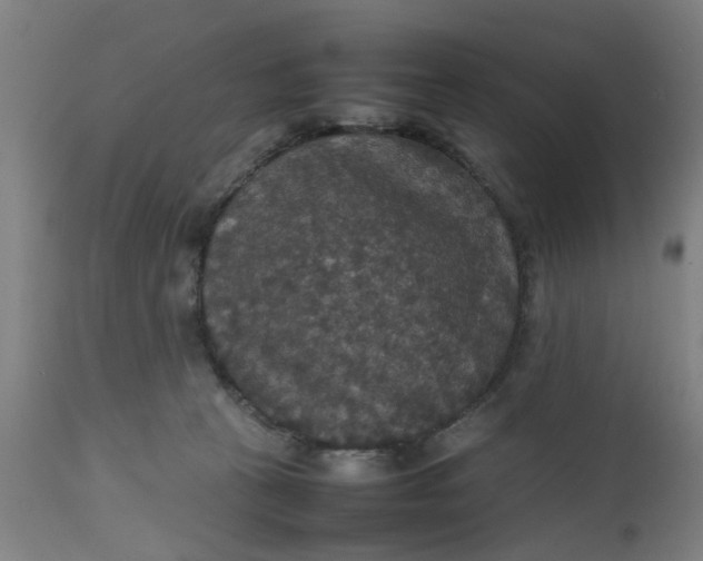 X0000112470273200909071140