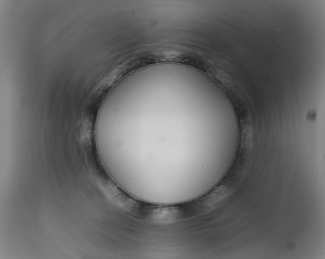 X0000112470274200909071140