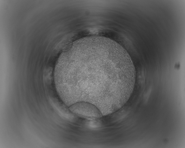 X0000112470275200909071140