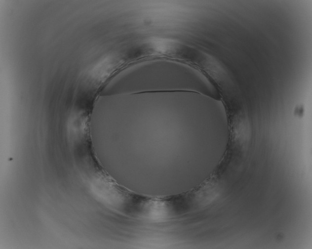 X0000112470276200909071140