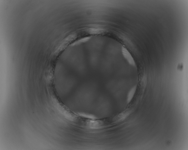 X0000112470277200909071140