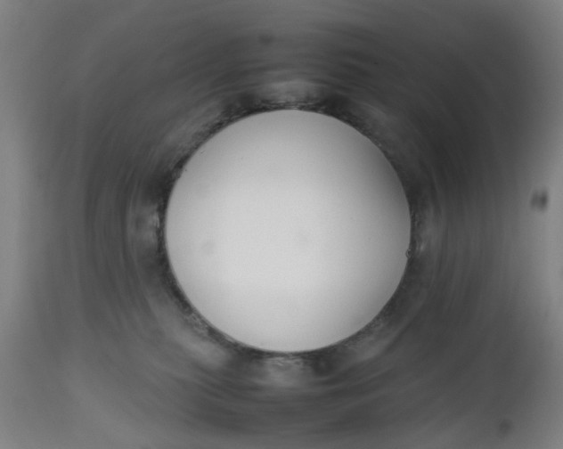 X0000112470279200909071140