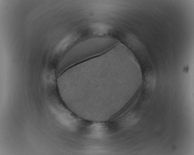 X0000112470280200909071140