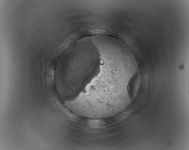 X0000112470281200909071140