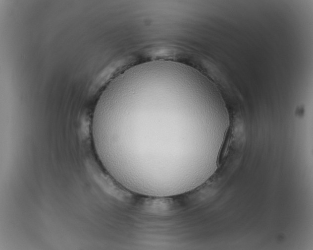 X0000112470282200909071140