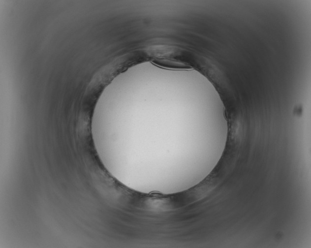 X0000112470283200909071140