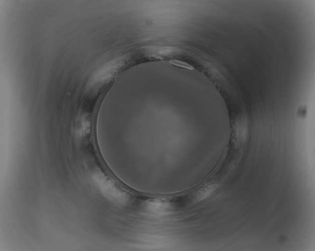 X0000112470284200909071140