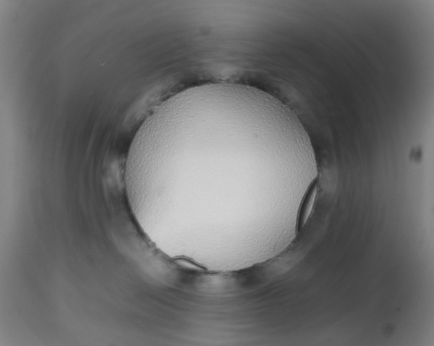 X0000112470286200909071140