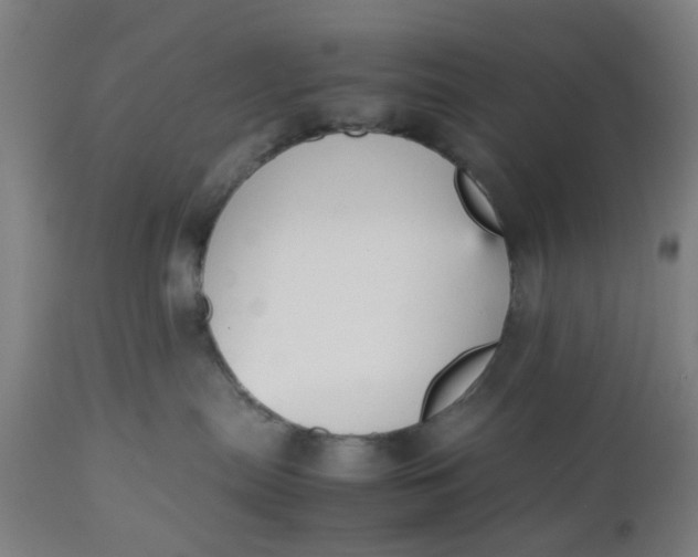 X0000112470287200909071140