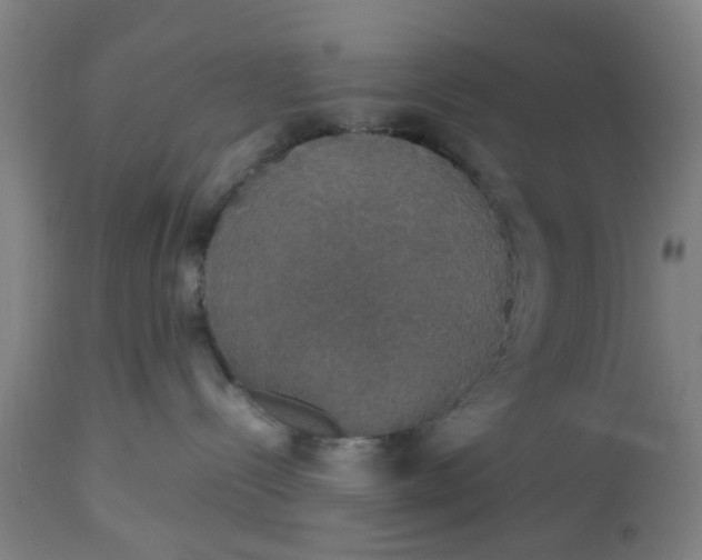 X0000112470288200909071140