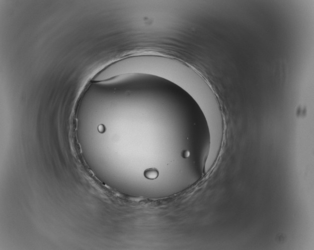 X0000112470289200909071140