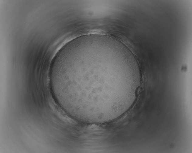 X0000112470290200909071140