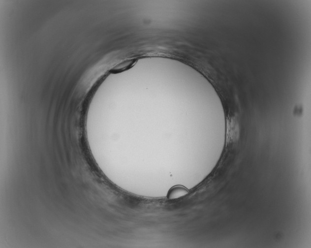 X0000112470291200909071140