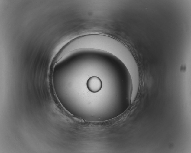 X0000112470292200909071140