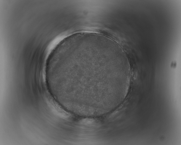 X0000112470294200909071140