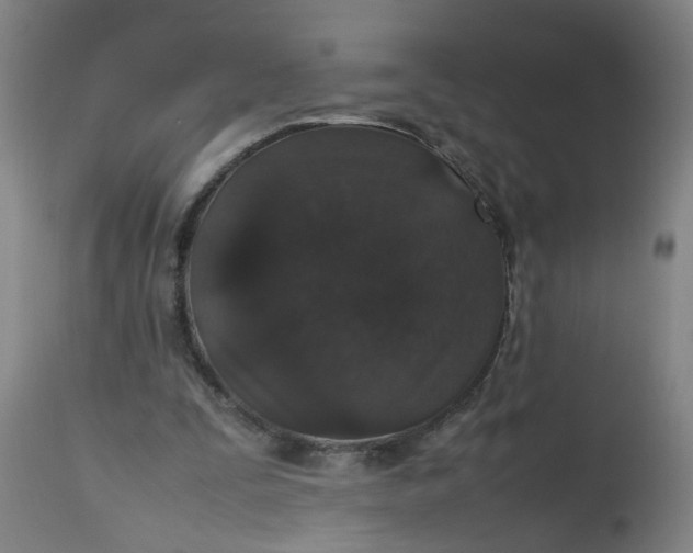 X0000112470295200909071140