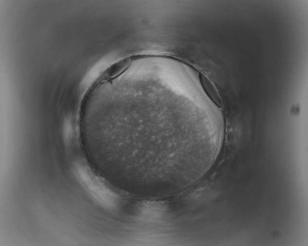 X0000112470296200909071140