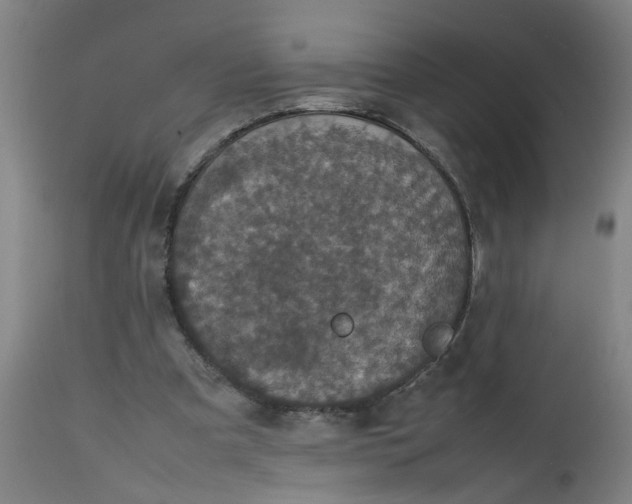 X0000112470297200909071140