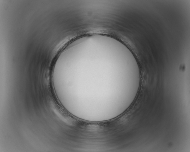 X0000112470298200909071140