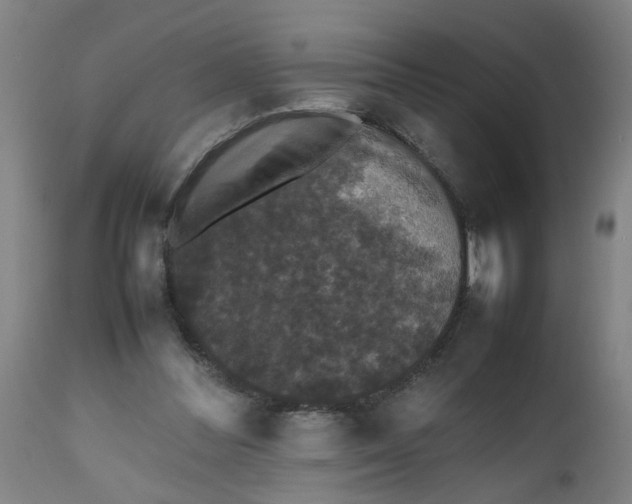 X0000112470300200909071140