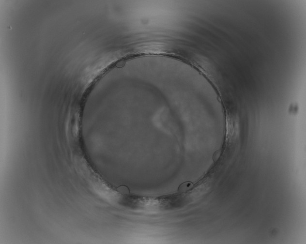 X0000112470301200909071140