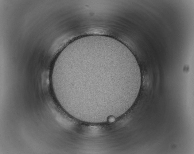 X0000112470302200909071140