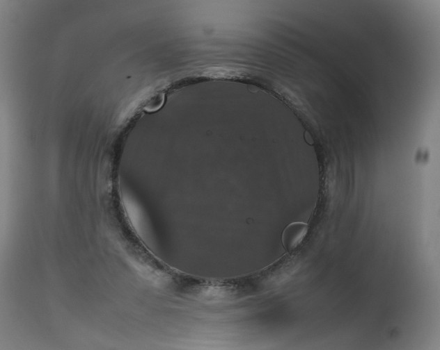 X0000112470303200909071140