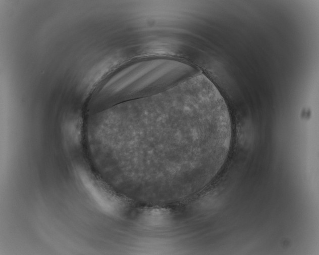 X0000112470304200909071140