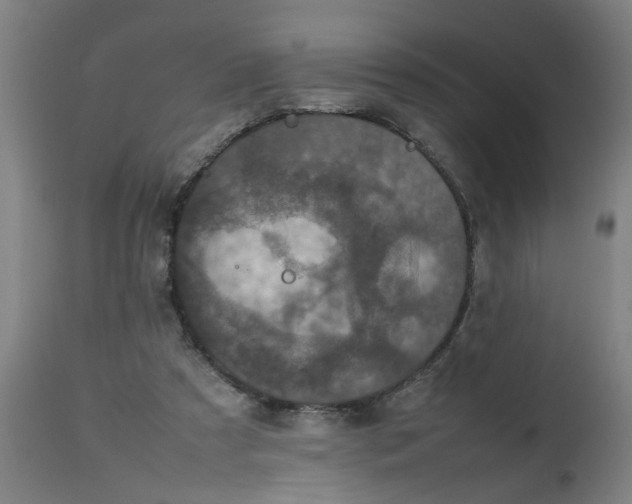 X0000112470305200909071140