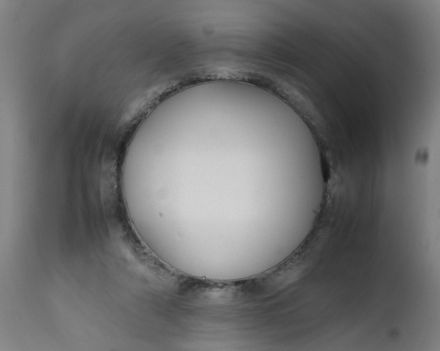 X0000112470306200909071140