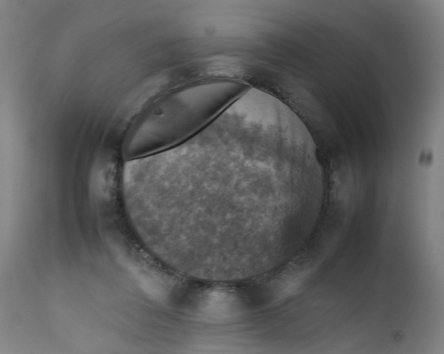 X0000112470308200909071140