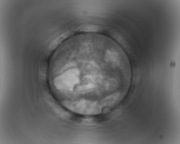 X0000112470309200909071140