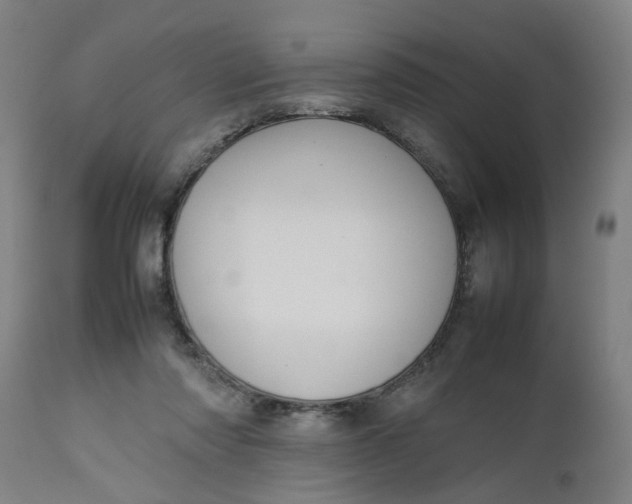 X0000112470310200909071140