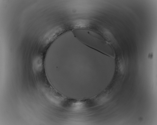 X0000112470312200909071140