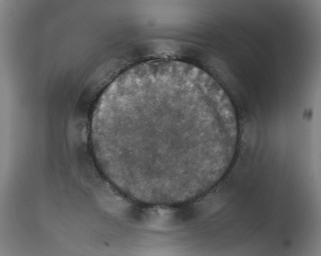 X0000112470313200909071140