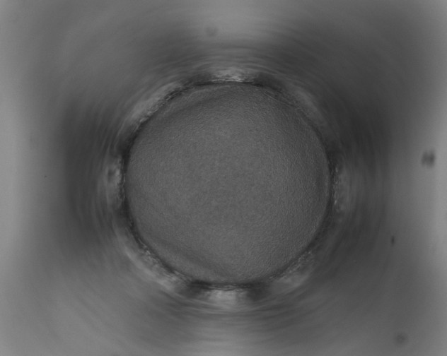 X0000112470314200909071139