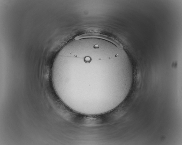 X0000112470315200909071139