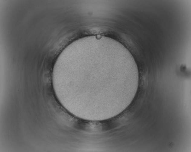 X0000112470317200909071139