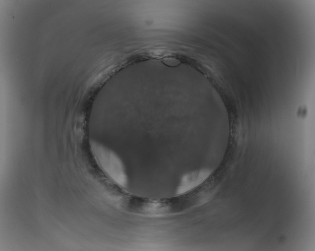 X0000112470319200909071139