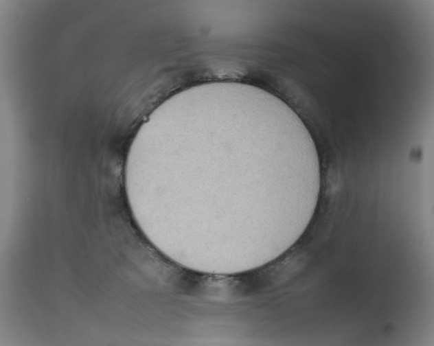 X0000112470321200909071139