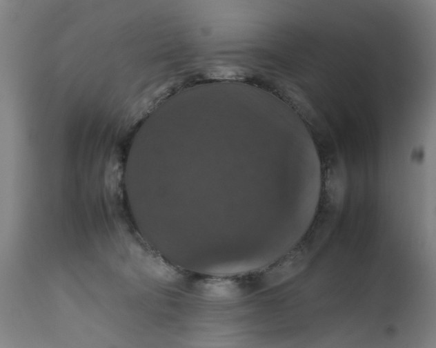 X0000112470322200909071139