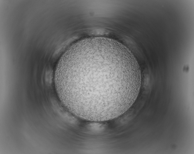 X0000112470326200909071139