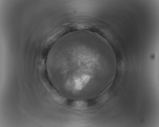 X0000112470327200909071139