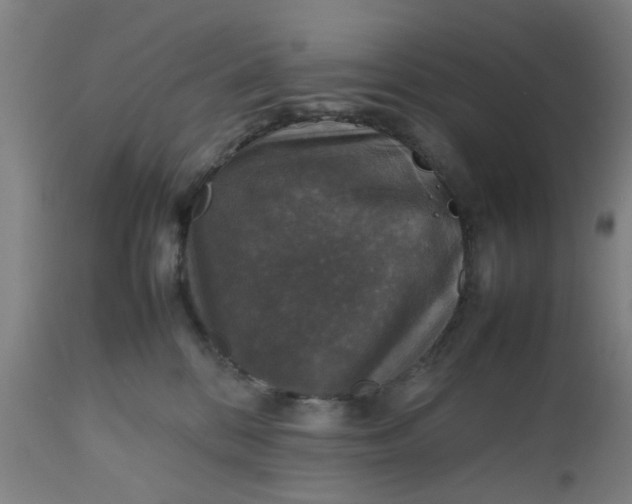 X0000112470328200909071139