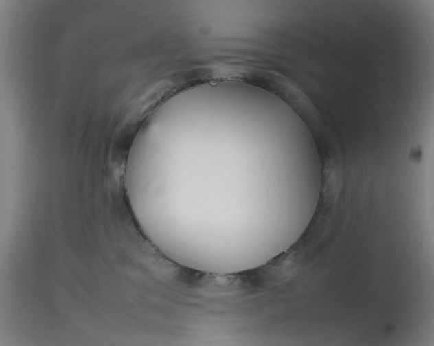 X0000112470329200909071139