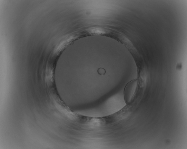 X0000112470330200909071139