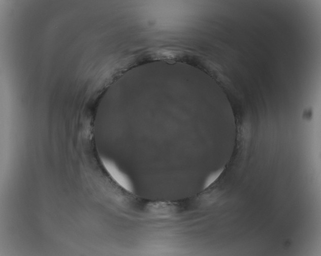 X0000112470331200909071139