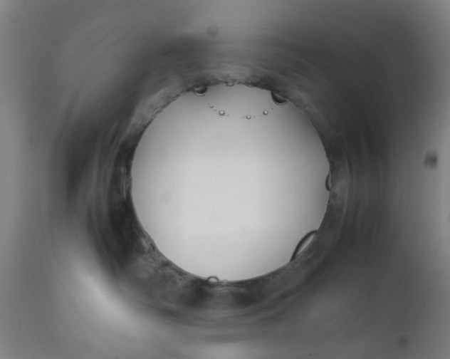 X0000112470334200909071139