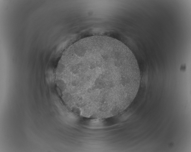 X0000112470335200909071139